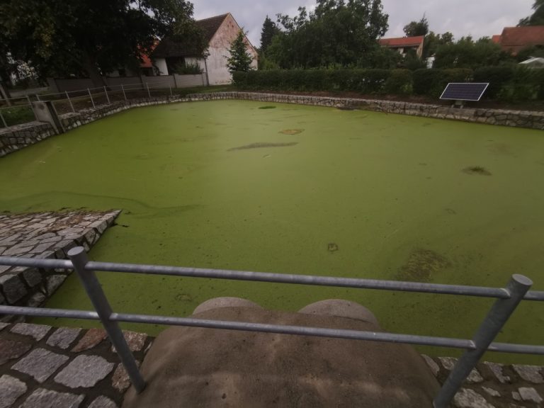 Před úpravou